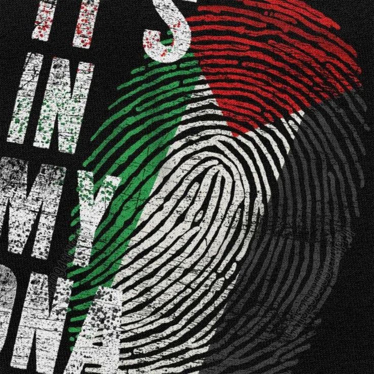 Camiseta Palestina é o Meu DNA - Loja Al Baraka